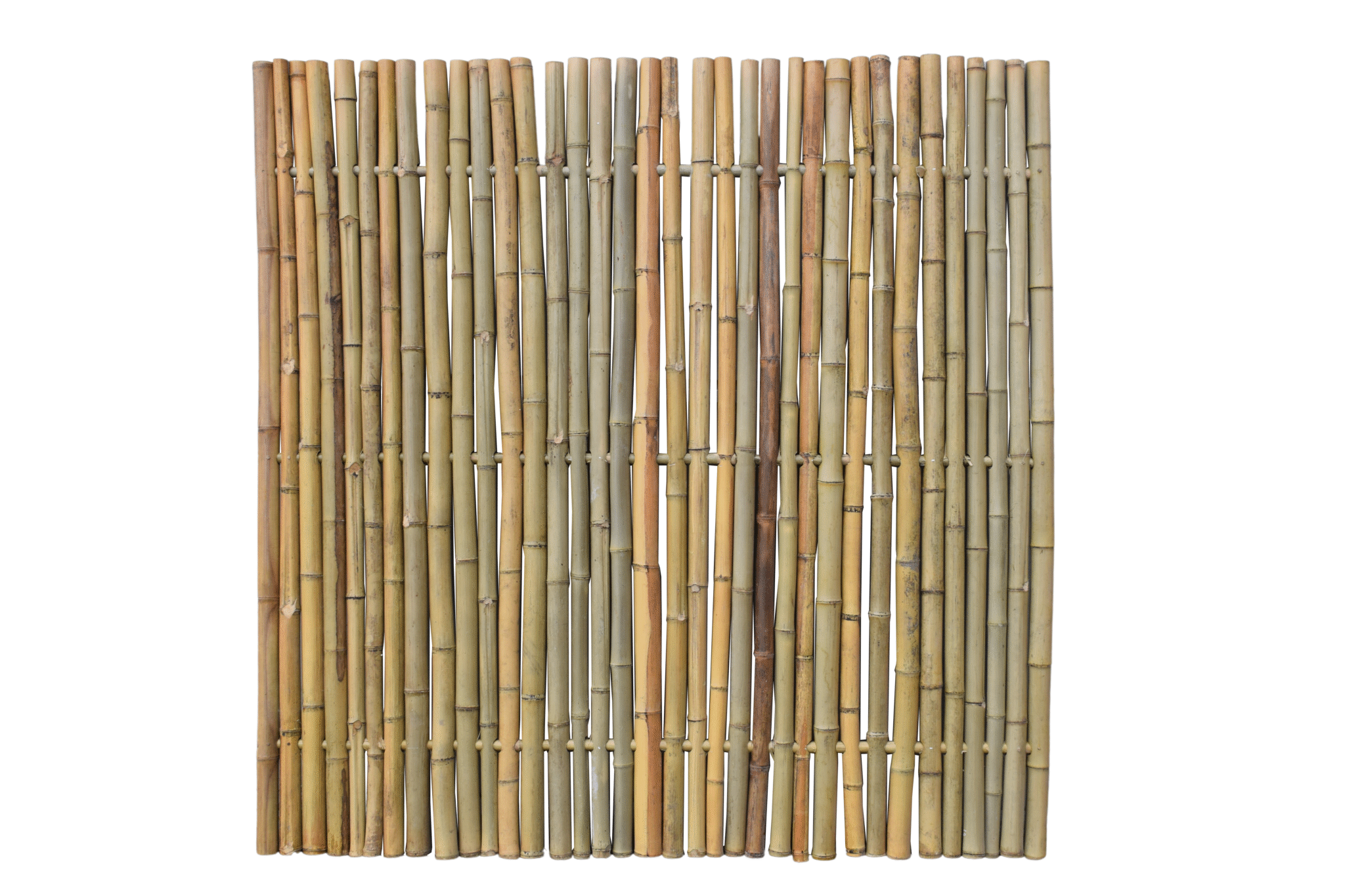 Bamboe Schutting Naturel 180 x 180 CM