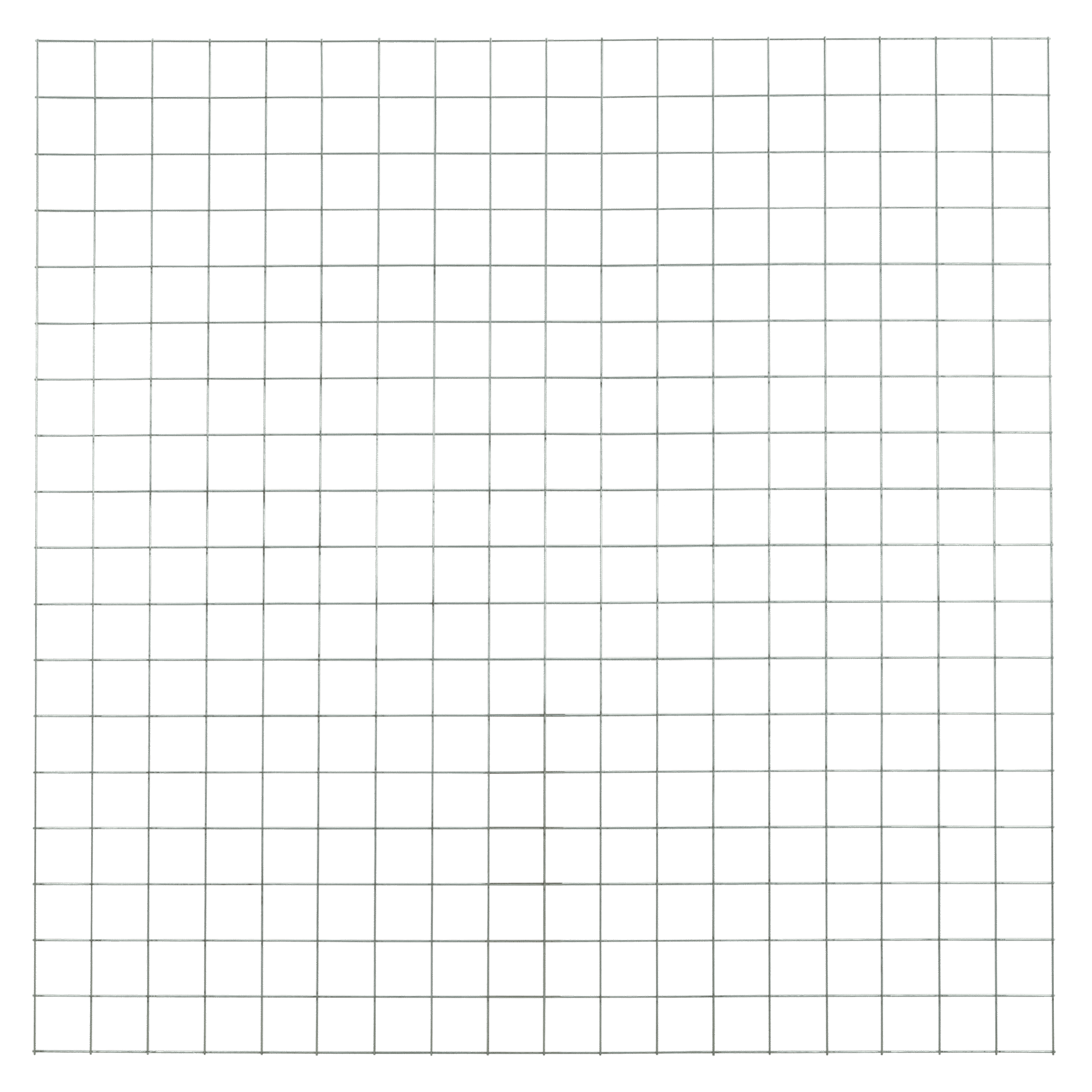 Gaaspaneel Verzinkt 180 x 180 cm - Maaswijdte 10 x 10 cm