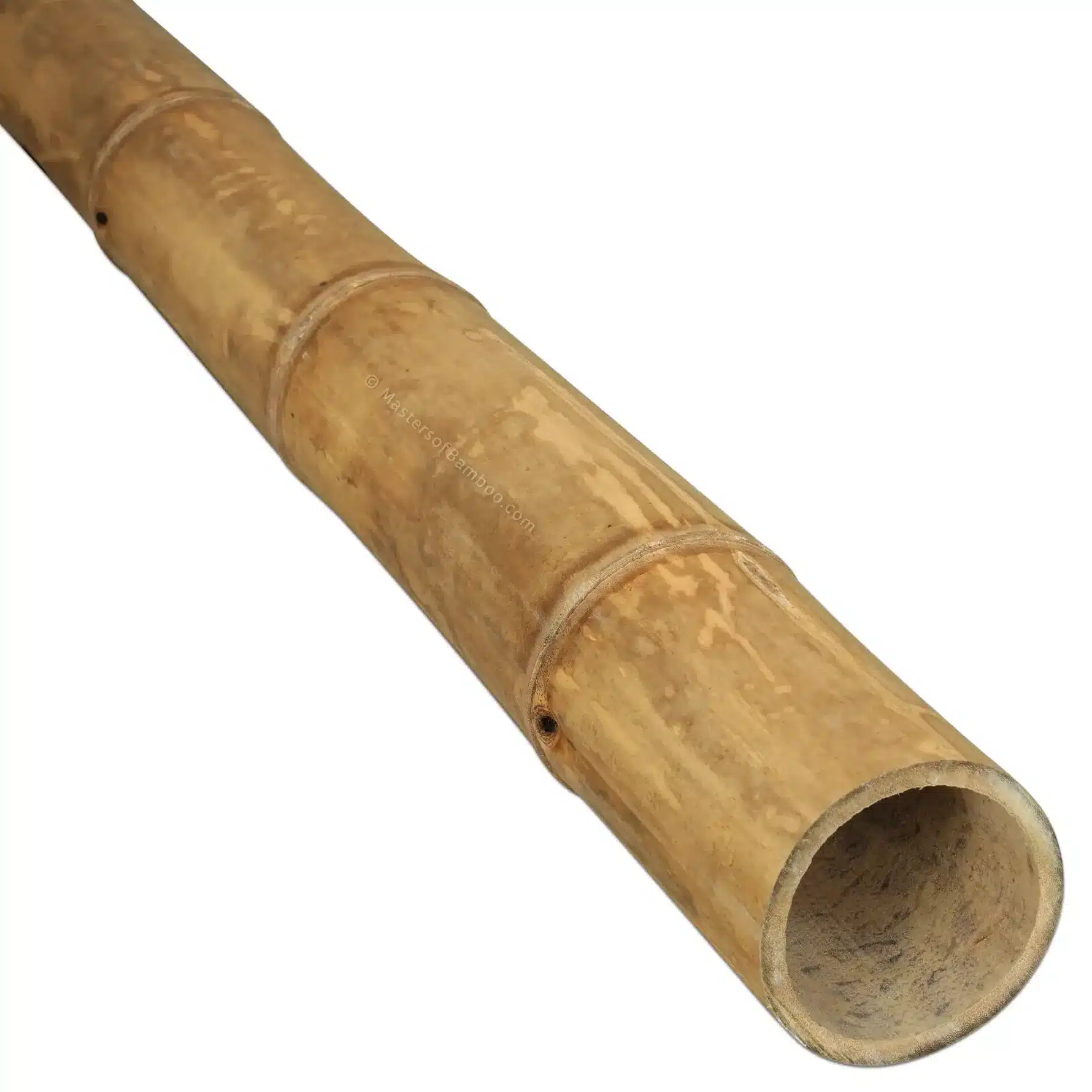 Bamboe Paal Guadua 100 cm x 9-11 cm ø