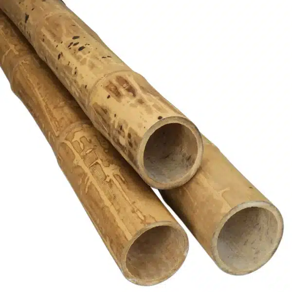 Bamboe Paal Guadua 100 cm x 9-11 cm ø - Afbeelding 2