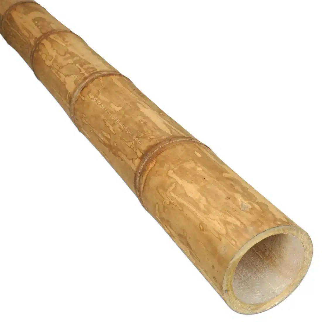 Bamboe Paal Guadua 300 cm x 11-13 cm ø