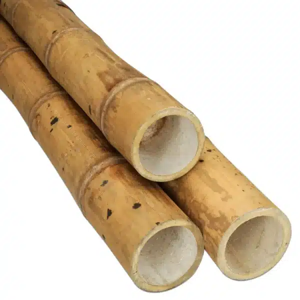 Bamboe Paal Guadua 500 cm x 11-13 cm ø - Afbeelding 2