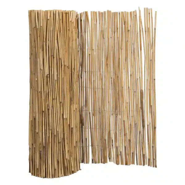 Rieten Schutting Op Rol Royal 600 x 200 cm - Afbeelding 2