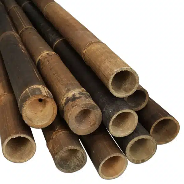 Zwarte Bamboe Paal Java 200 cm x 5-7 cm ø - Afbeelding 3