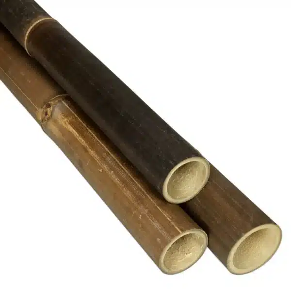 Zwarte Bamboe Paal Java 200 cm x 5-7 cm ø - Afbeelding 2