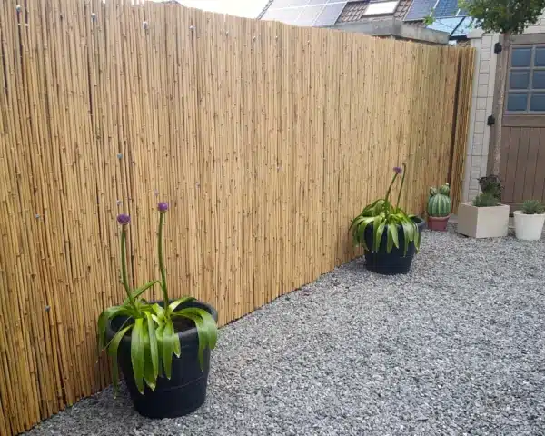 Bamboe Schutting Op Rol Basic Naturel 180 x 200 cm - Afbeelding 3