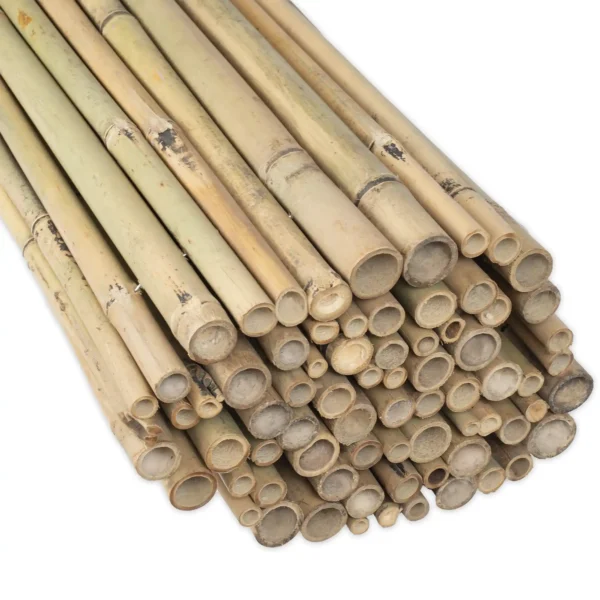 Bamboe Schutting Op Rol Basic Naturel 180 x 200 cm - Afbeelding 2