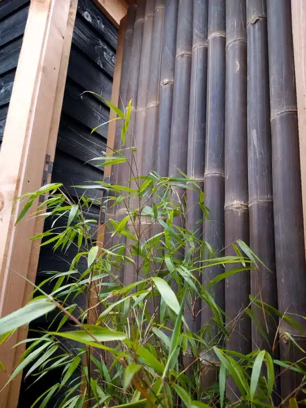 Bamboe Rechtsdraaiende poortdeur Giant Zwart 100 x 200 cm - Afbeelding 4